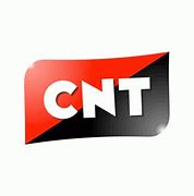 Image result for Cnt White Logo