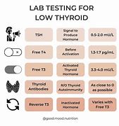 Image result for The Less High Test iPhone to the High Test