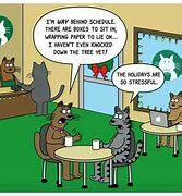 Image result for Money Funny Cat Memes