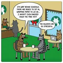 Image result for Cartoon Christmas Cat Jokes