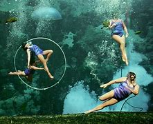 Image result for Real Baby Mermaids
