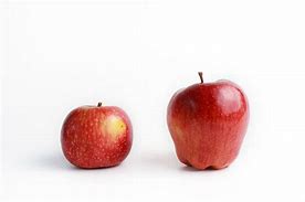 Image result for Big Tyte's Apple's