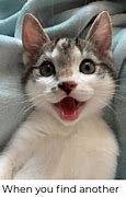 Image result for Be Happy Cat Meme