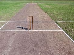 Image result for Cricket Wicket Chain
