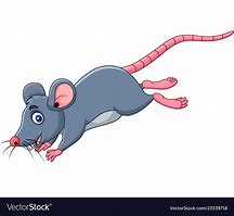 Image result for Biorender Funny Mouse