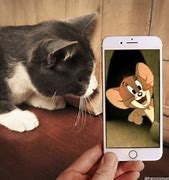 Image result for Cat Ear Phone Case