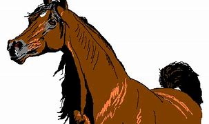 Image result for Arabian Horse Head Clip Art