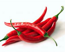 Image result for Chili Pepper