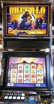 Image result for Aristocrat Buffalo Slot Machine