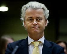 Wilders 的图像结果