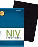 Image result for Case of NIRV Bibles