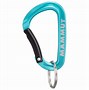 Image result for Miniature Carabiner