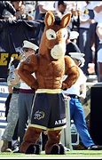 Image result for West Point Mascot