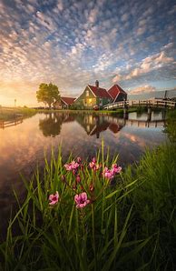 Image result for Beauty of Netherlands