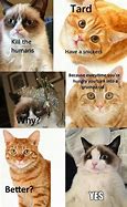 Image result for Grumpy Cat Funny Jokes