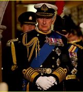 Image result for Prince Charles Wales Decorations