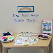 Image result for Five Senses Sensory Table Ideas