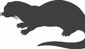 Image result for Sea Otter Silhouette