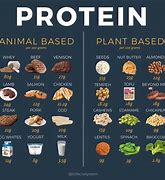 Image result for Plant vs Meat Protein