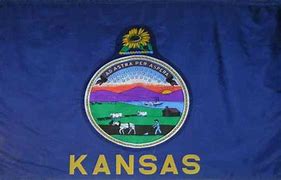 Image result for Kansas Flag