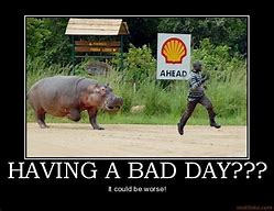 Image result for Bad Day Pics Funny