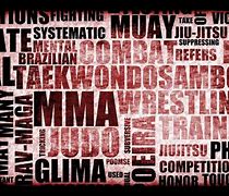 Image result for Types of MMA