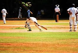 Image result for Cricket