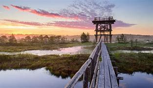 Image result for Estonia Natural Beauty