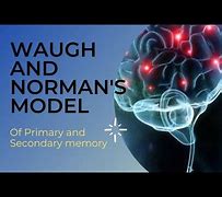 Image result for Waugh and Norman Model of Memory