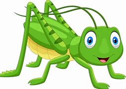 Image result for Cute Cartoon Grasshopper