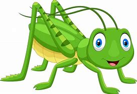 Image result for Grasshopper Cartoon