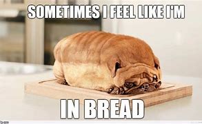 Image result for Solid Bread Meme