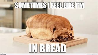 Image result for Breed Bread Meme