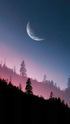 Sunset Forest Moon View - iPhone Wallpapers : iPhone Wallpapers
