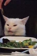 Image result for Confused White Cat Meme