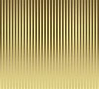Image result for 1 Stripe Gold