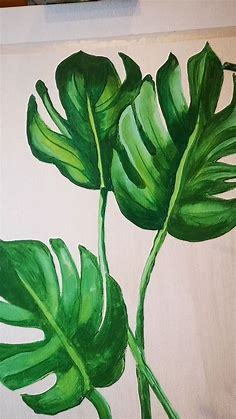 Monstera Acryl [Video] | Plant painting, Plant art, Tropical painting
