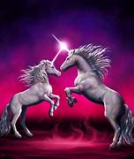 Image result for 2 Unicorns