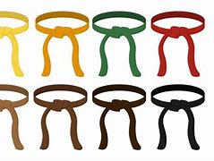 Image result for Types of Karate Belts