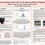 Image result for Thesis Poster