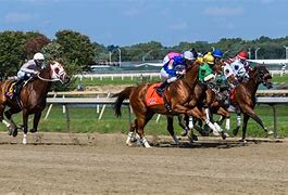 Image result for Perpetual Trophy Horse Racing