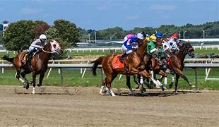 Image result for Horse racing