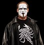 Image result for Sting Wrestler Movies and TV Shows