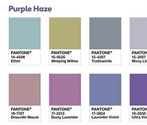 Image result for Pantone BlackBerry Purple