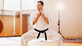 Image result for Types of Karate Styles