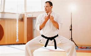 Image result for Different Types of Karate