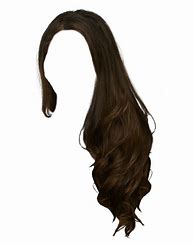 Image result for Hair Wig PNG