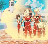 Image result for Goku Family Members