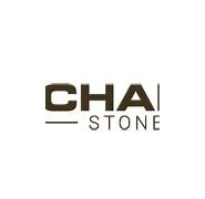 Image result for Champions Stone Logo
