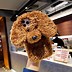 Image result for iPhone 8 Cases Dog